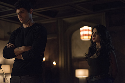Shadowhunters