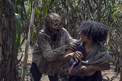 The Walking Dead